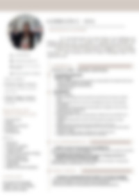 Cv Preview