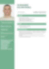 Cv Preview