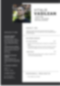 Cv Preview