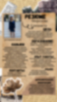 Cv Preview