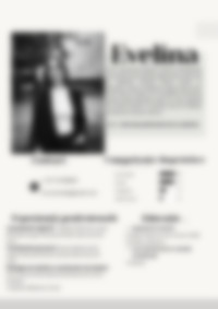 Cv Preview