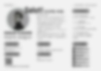 Cv Preview