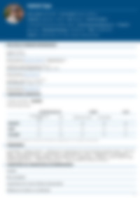 Cv Preview