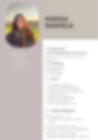 Cv Preview