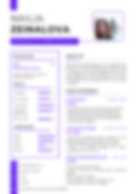 Cv Preview