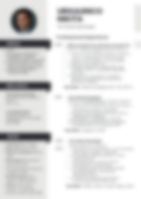 Cv Preview
