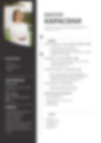 Cv Preview