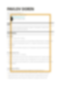 Cv Preview