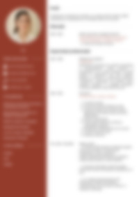 Cv Preview