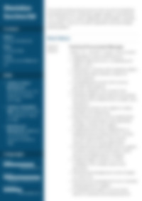 Cv Preview