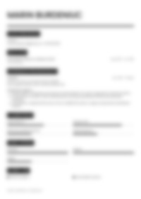Cv Preview
