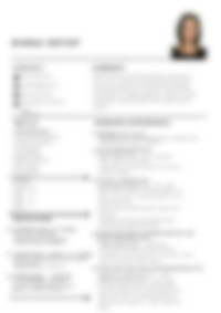 Cv Preview