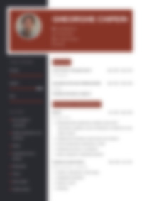 Cv Preview