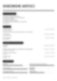 Cv Preview