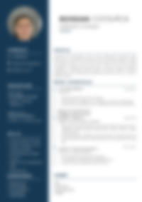 Cv Preview