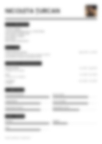 Cv Preview