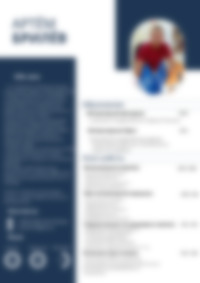 Cv Preview