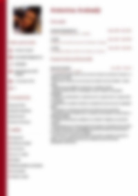Cv Preview