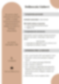 Cv Preview