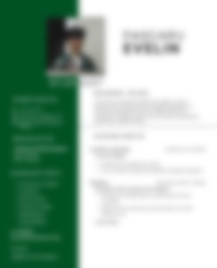 Cv Preview