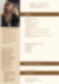 Cv Preview