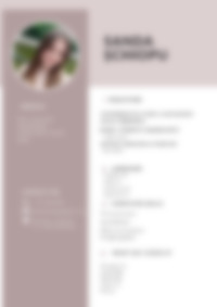 Cv Preview