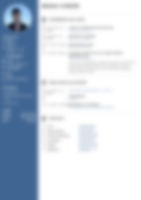 Cv Preview