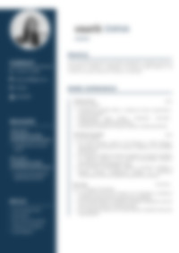 Cv Preview