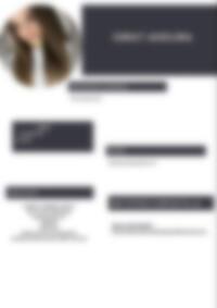 Cv Preview