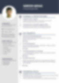 Cv Preview