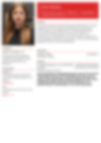 Cv Preview