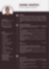 Cv Preview