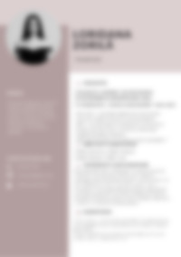Cv Preview