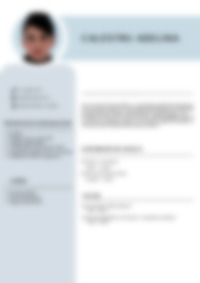 Cv Preview