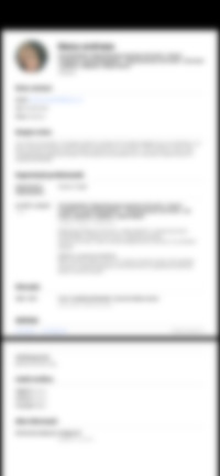 CV Preview