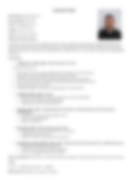 CV Preview