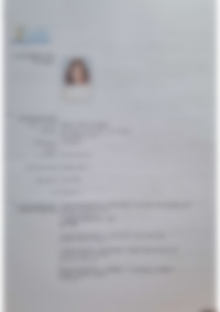 CV Preview