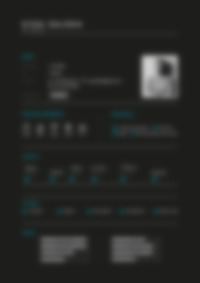 CV Preview