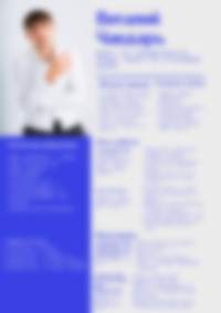 CV Preview