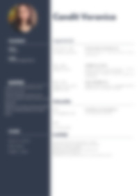 CV Preview