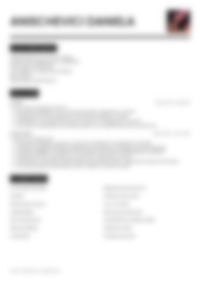 CV Preview
