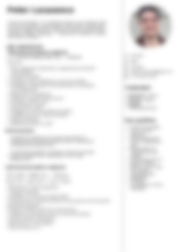 CV Preview