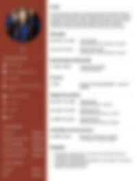 CV Preview