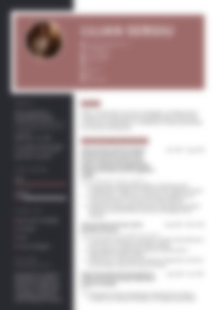CV Preview
