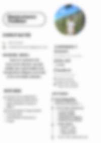 CV Preview