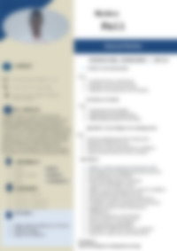 CV Preview