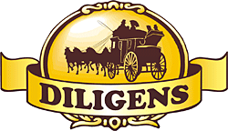 Diligens  - Promo & Event агентство 