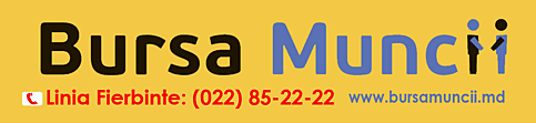Bursa Muncii Bursa Muncii