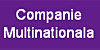 Companie multinationala