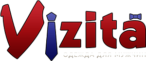 Vizita